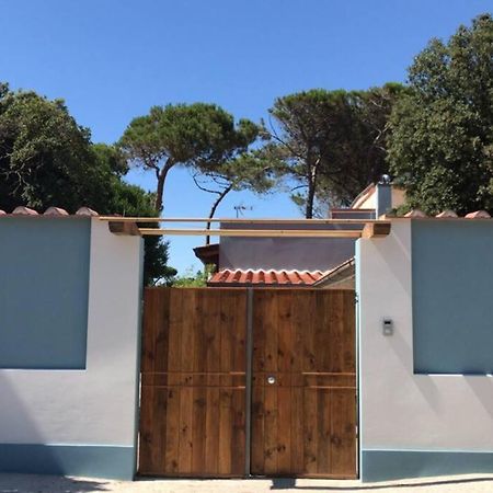 Viareggina Con Giardino Apartment Марина ди Пиза Екстериор снимка