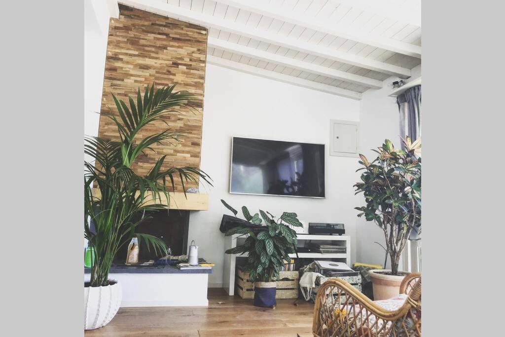 Viareggina Con Giardino Apartment Марина ди Пиза Екстериор снимка