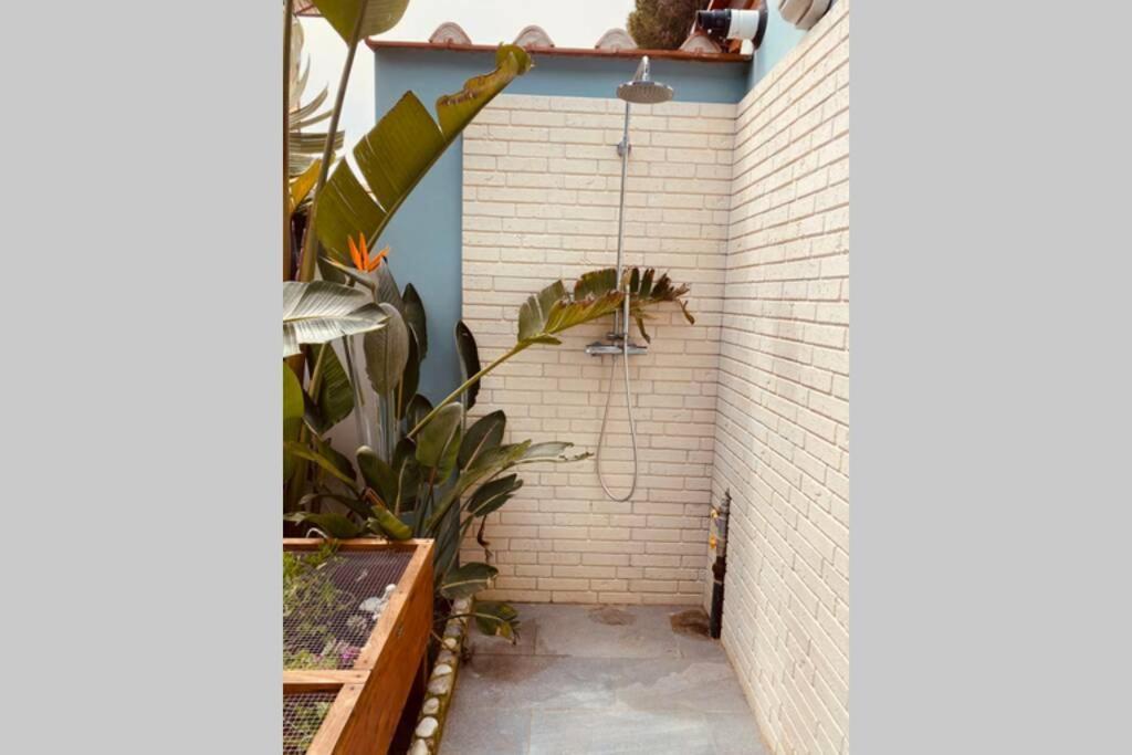 Viareggina Con Giardino Apartment Марина ди Пиза Екстериор снимка