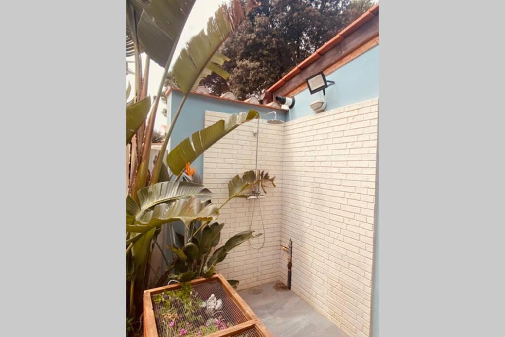 Viareggina Con Giardino Apartment Марина ди Пиза Екстериор снимка