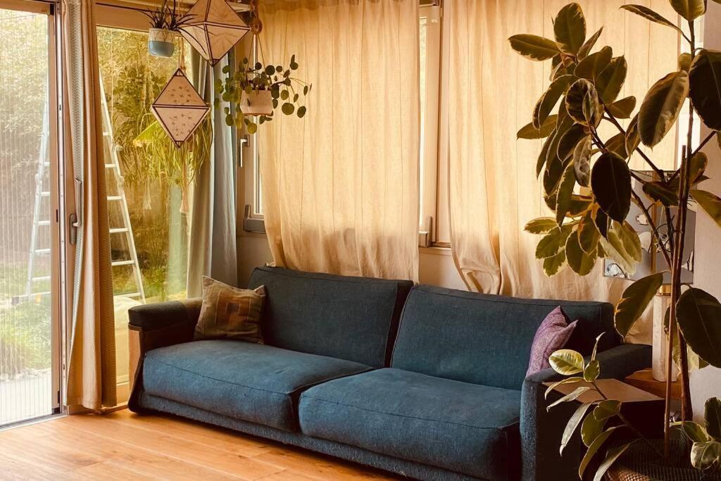 Viareggina Con Giardino Apartment Марина ди Пиза Екстериор снимка