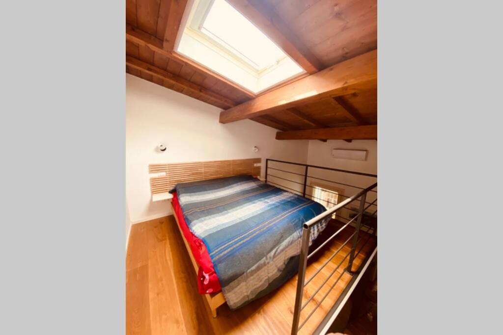 Viareggina Con Giardino Apartment Марина ди Пиза Екстериор снимка
