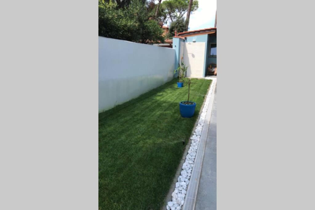 Viareggina Con Giardino Apartment Марина ди Пиза Екстериор снимка